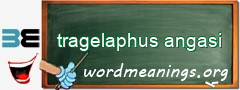 WordMeaning blackboard for tragelaphus angasi